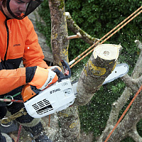 STIHL MS 201 TC-M Бензопила STIHL, шина RL 30см, цепь 63 PS 11452000318, Пилы для работы на высоте Штиль